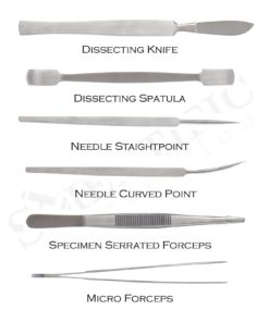 57 34afa9a0 2992 4bd1 bc8b 0b0383519dba