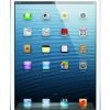 Apple Ipad Mini Md531Ll/A (16Gb Wi-Fi Only White / Silver) 16 Gb 7 57 364226f7 79f9 4996 ae80 8aaf1bdb9dbb