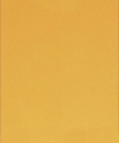 Columbian Co955 6X9-Inch Clasp Brown Kraft Envelopes 100 Count (Co955) - $16.95