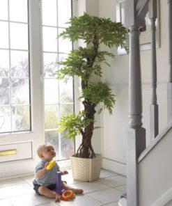 57 3b07cd19 1523 4664 976e 9101c70f4ca4