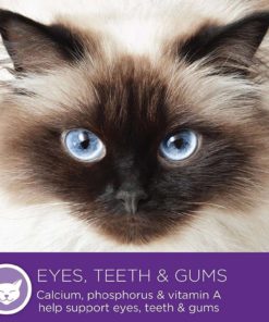 57 3c3172a1 501d 48ab 87c1 1c370711f9fa