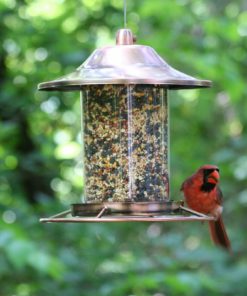 Perky-Pet Copper Panorama Bird Feeder 312C 8L X 8W Ins. Perky-Pet 13 57 3cc806b7 ffb0 43a8 b56c ed9e7e314d5d