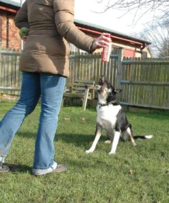 57 3e6af43e 9f77 48a9 a9bd ee3d2daf3538