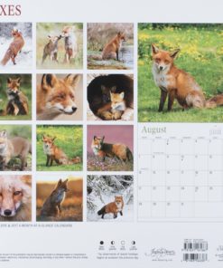 Alternative view of Dayspring 12" X 12" 2016 12-Month Wall Calendar Foxes (74245)