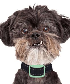 57 43bee07d daae 45c9 a688 24869c68f2ae