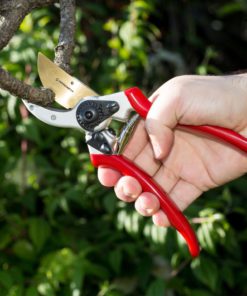 Haus & Garten Pruning Shears - Titanium Bypass Hand Pruner 1 Haus & Garten 13 57 44738db4 16f1 48c4 ae13 ac983c626a9e