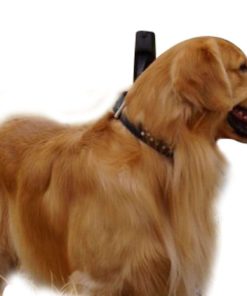 57 44e95705 6c48 4dc5 b72b 194c259ca572 1