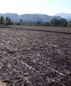 World Assortment Vanilla Beans 3 Types X 10 Beans = 30 Total *** Very Dry ***.. 18 57 4577d98e 2003 4db5 9aff 4df68e1b1335