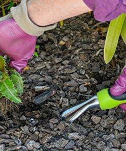 57 465b7b14 9d42 4cfa 802e 919761a1bb86