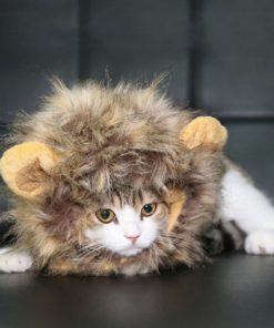 Bassion Pet Cosplay Costume Lion Mane Wig Hat For Cat Or Small Dog Dress Up W.. 6 57 483646ae bb4f 4c48 a681 8695b4560f81