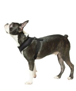 Alternative view of Gooby Soft Mesh Harness For Small Dogs Black M