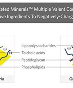 Terrasil Infection-Control Wound Care Ointment - Plus Medical-Grade Bandaging.. 14 57 48ce8121 dc22 410c 936d d1a446243b9f
