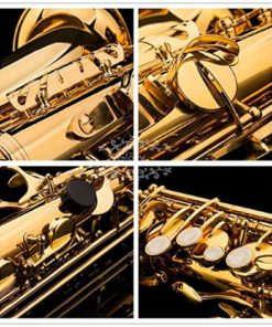 Glory Professional Alto Eb Sax Saxophone Gold Laquer Finish Alto Saxophone Wi.. 17 57 490805e6 02e8 41c2 8e59 164956b2d72a