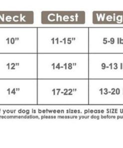 57 4a6f01c3 089c 41e1 8bc4 a01dc49189c5