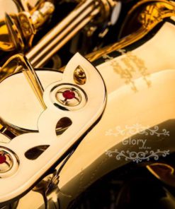 Glory Professional Alto Eb Sax Saxophone Gold Laquer Finish Alto Saxophone Wi.. 12 57 4b897fc7 34c6 4300 bfde d72830113660