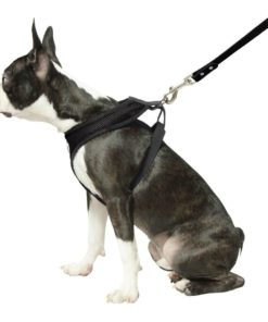 57 4c5ba922 45b4 42bb bfb0 ceb7e186f664