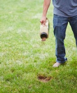 57 500937b0 30f4 4e7f 8ef5 c3c33490fa97