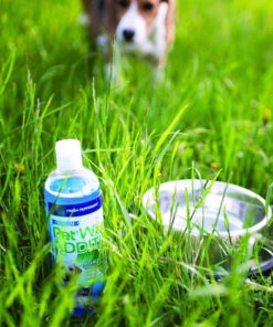 57 51592d9a 56e6 4c5b 8593 11bd604057fc