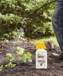 Alternative view of Roundup Poison Ivy Plus Tough Brush Killer Concentrate 32-Ounce 1