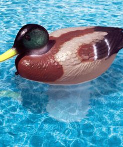 57 52009e8a 5b38 4a4c adfe 18becdc2914f