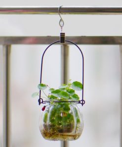 Kuuqa Party Light Hanger Hanging Clamp Hooks Hanger Clips For String Party L.. 13 57 523faa53 65d6 4d1e 8ebc cf93467a6cb3