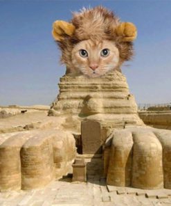 Lion Mane Dog Cat Costume And Complimentary Feathered Catnip Toy - Dog And Ca.. 12 57 549846dd 19f0 4c73 99b8 26eadc78a0b9