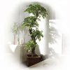 Best Quality Artificial Plants And Trees Large Beautiful Japanese Fruticosa T..