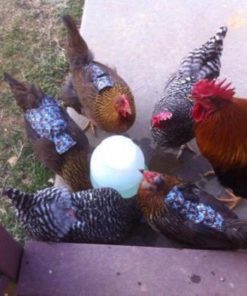 57 580c0a39 2382 474e 9f88 e73b7f8eb872