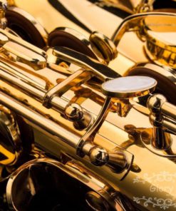 Glory Professional Alto Eb Sax Saxophone Gold Laquer Finish Alto Saxophone Wi.. 13 57 58e337f6 b645 468f a186 61dbcf631467