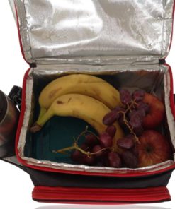 Insulated Lunch Bag - Insignia Mall Adult Lunch Bag/Box For Work For Men And .. 12 57 5e8410b4 87fa 4d75 803d 954a78fd32c7