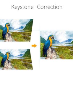 57 5f0bf6e9 91fc 4051 9a4f cff0dfbcd1fd