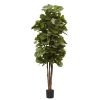 Nearly Natural 5346 Fiddle Leaf Fig Tree 6-Feet Green 12 57 60e3a0f7 524d 4b3c b4bd f40cbdd7126b