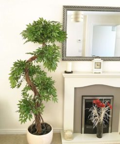 57 613cafc3 4edf 4a11 9f9b 8a6e4f7498ba