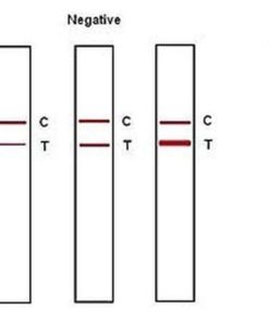 57 624d64bd c3bc 4a79 9d30 32ac546c71cd