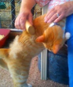 57 629677e7 a126 4367 a993 ed1b30997508