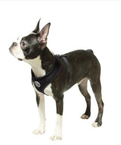 57 6346ed1a f8dc 4eeb b078 86757a628257