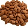 Sweet Raw Apricot Seeds No Shell - Nuts U.S. (1 Lb) 1 Lb - $29.95