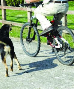 57 6814baa7 2a6b 4f57 8663 235199e0cda3