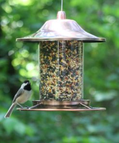 Perky-Pet Copper Panorama Bird Feeder 312C 8L X 8W Ins. Perky-Pet 11 57 6cbcc4d0 f772 4233 8390 581a05d514da