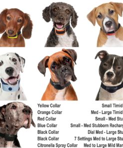 Our K9 Black Dial Bark Collar Uses Sound And Effective Static Shock For Corre.. 18 57 73bd9b4f 4dc9 4c2a 8662 acd70c13dc56