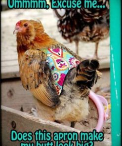 Alternative view of Standard Size 5 Pack Hen / Chicken Saddle