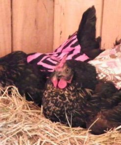 57 7683b0cb 3f30 414b b691 9ca4effafb6d