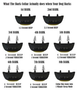 Our K9 Mint Bark Collar. Toy Breed No Bark Collar & Small Dog Anti-Bark Colla.. 15 57 773bc01e 847e 49d2 b5b3 7e257dc29e72