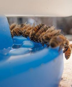 57 77a7345f fda1 4b78 86cf 6852a1e7fd99