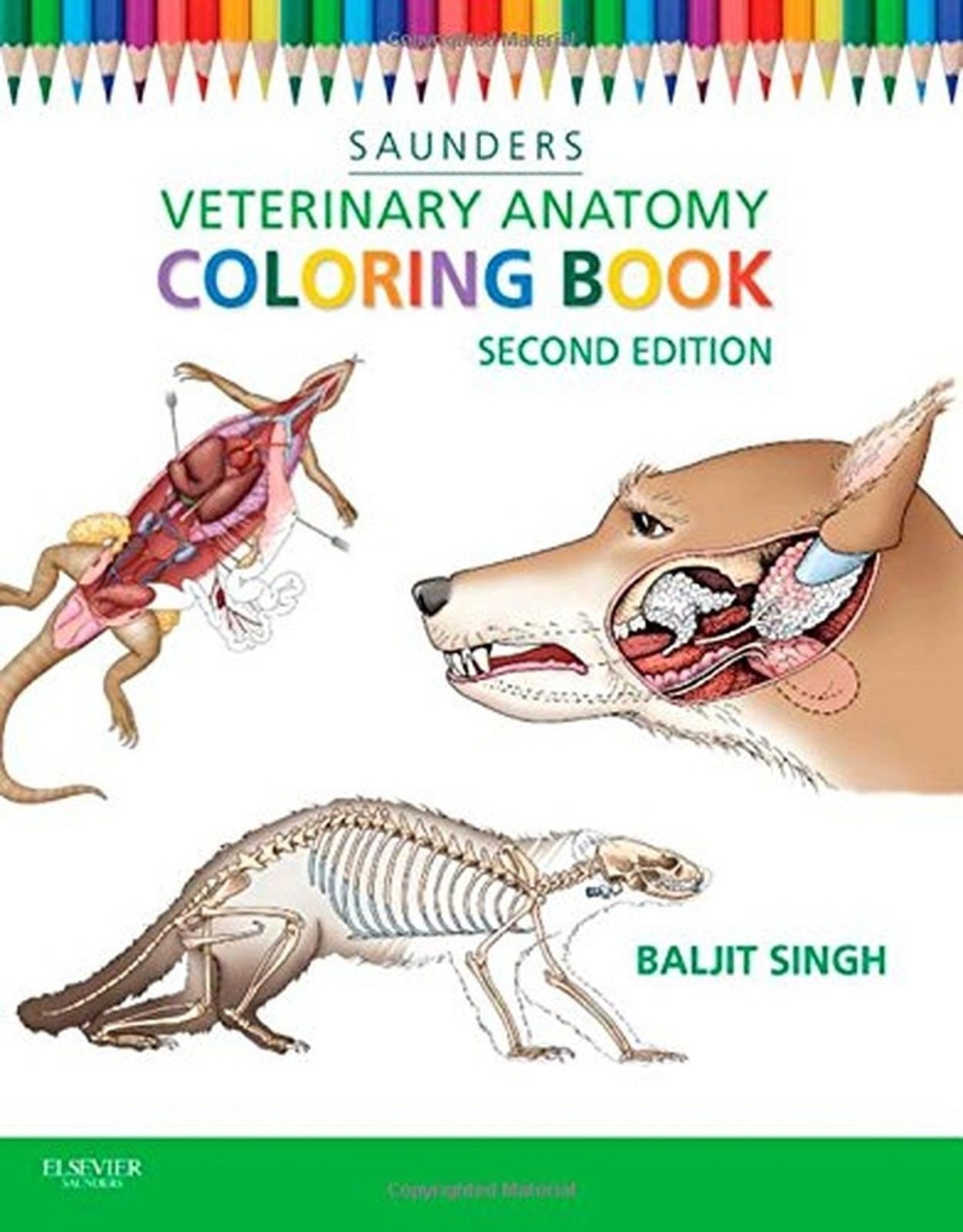 Veterinary Anatomy Coloring Book 2E Swiftsly