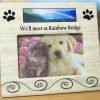 Pet Bereavement Photo Frame For Dog Or Cat - We'Ll Meet At Rainbow Bridge - F.. 14 57 809bc33d 264a 4728 895f 291246f6d959