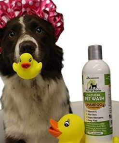 57 8858e29e 78bc 4bc4 875c ee2475ea5ed6