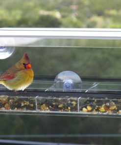 Flock To Me Bird Feeder With *Lifetime Replacement Guarantee*. Clear Removabl.. 10 57 8965c28b cacb 44e4 b2a8 1d60e08ba982