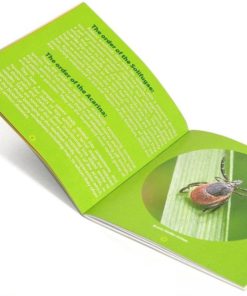 57 8c11a585 e3e3 4559 a819 0ccea1694f64