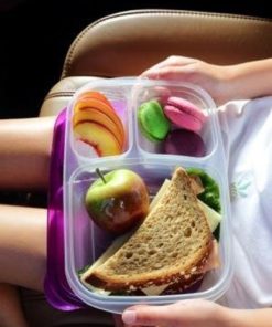 Bento Lunch Box Food Storage Containers For Kids And Adults 5 Containers 3-Co.. 12 57 8eedf704 ed1a 4d2b 8bb5 e3d175edc303